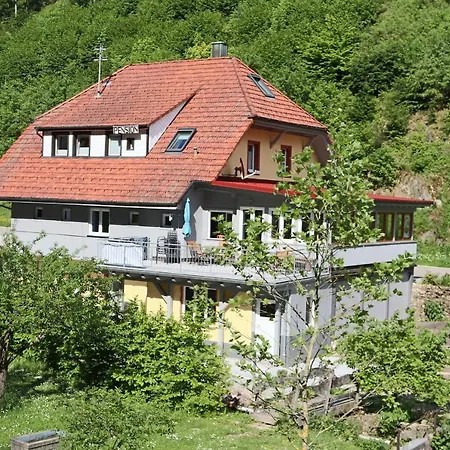 Haus Belchenwiese Die Ferienwohnung Am Bach