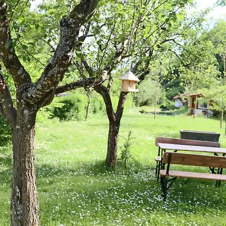 Haus Belchenwiese Die Ferienwohnung Am Bach